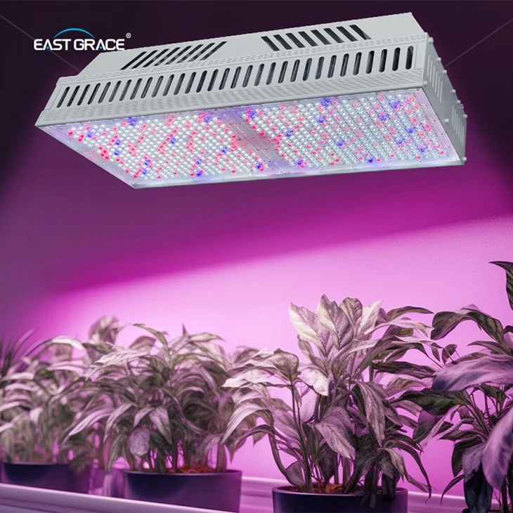 800W Top1930E LED Grow Light Fixture