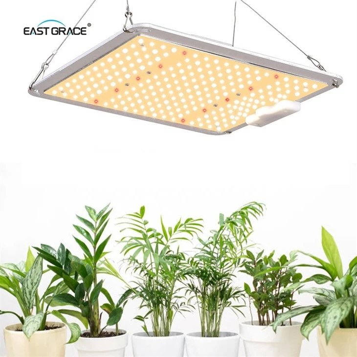 Full Spectrum Board LED Grow Light Indoor Plant factory
