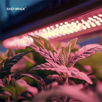 1,2 m vertikální zemědělství LED roste světlo
