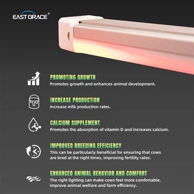 LED mlékárny Farm Osvětlení inteligentní lineární světla s nočními možnostmi drůbeží farma 500 mm 76 W Milky Shattle Používání